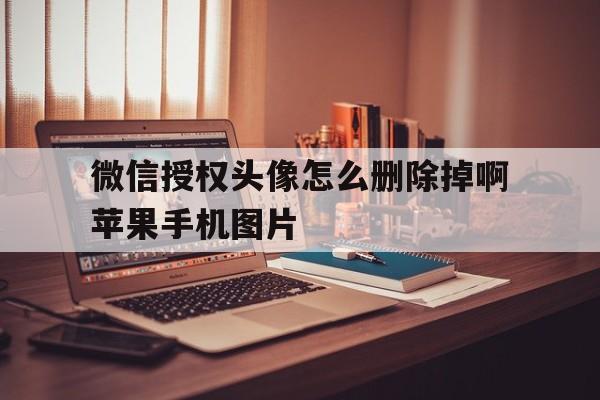 微信授权头像怎么删除掉啊苹果手机图片的简单介绍 微信授权头像怎么删除掉啊苹果手机图片的简单介绍