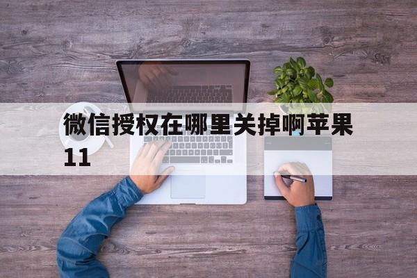 微信授权在哪里关掉啊苹果11 微信授权在哪里关掉啊苹果11
