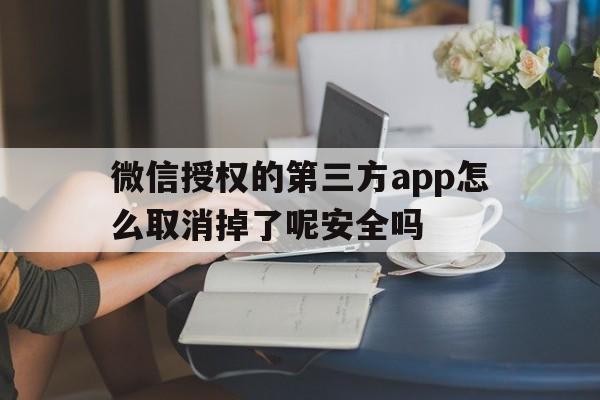 微信授权的第三方app怎么取消掉了呢安全吗 微信授权的第三方app怎么取消掉了呢安全吗