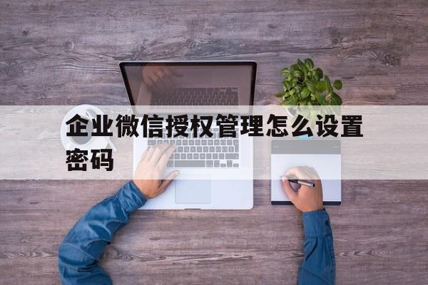 企业微信授权管理怎么设置密码 企业微信授权管理怎么设置密码