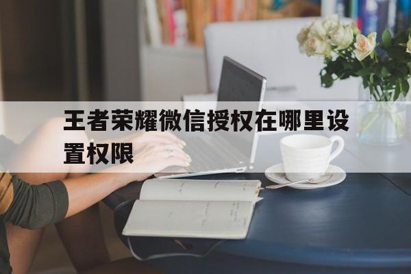 王者荣耀微信授权在哪里设置权限 王者荣耀微信授权在哪里设置权限