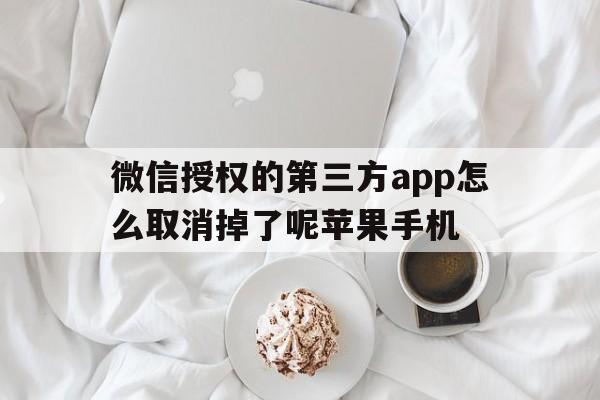 微信授权的第三方app怎么取消掉了呢苹果手机 微信授权的第三方app怎么取消掉了呢苹果手机