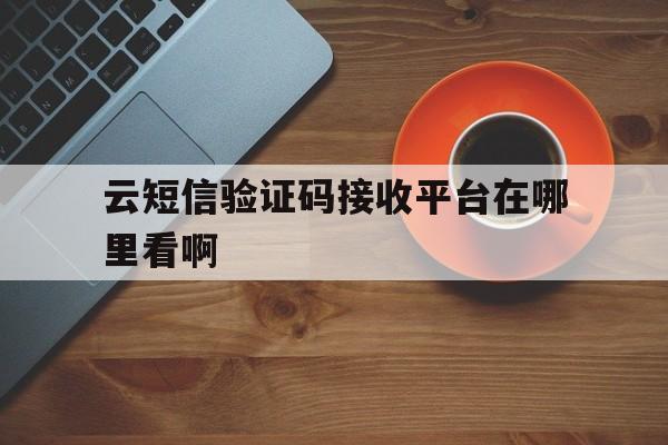 云短信验证码接收平台在哪里看啊 云短信验证码接收平台在哪里看啊