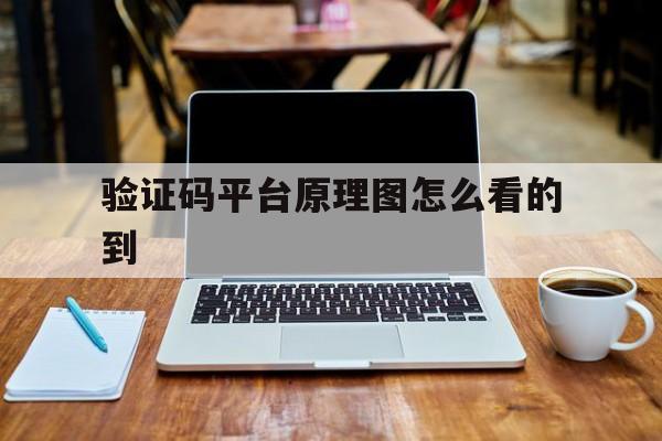 验证码平台原理图怎么看的到 验证码平台原理图怎么看的到