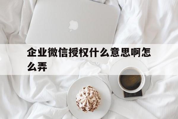 企业微信授权什么意思啊怎么弄 企业微信授权什么意思啊怎么弄