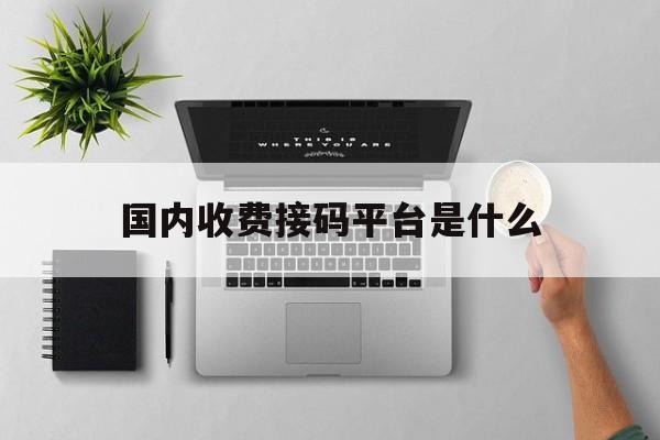 国内收费接码平台是什么 国内收费接码平台是什么