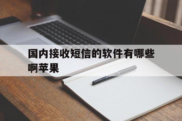 国内接收短信的软件有哪些啊苹果 国内接收短信的软件有哪些啊苹果