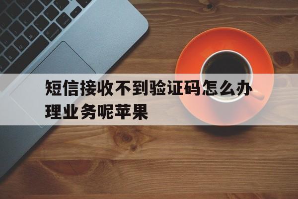 短信接收不到验证码怎么办理业务呢苹果 短信接收不到验证码怎么办理业务呢苹果