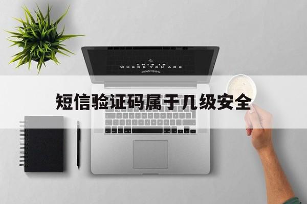 短信验证码属于几级安全 短信验证码属于几级安全