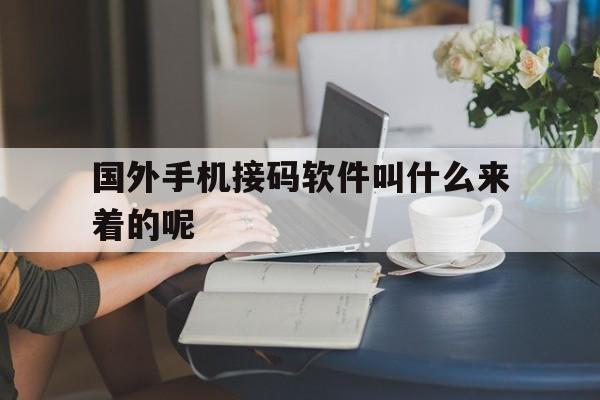 国外手机接码软件叫什么来着的呢 国外手机接码软件叫什么来着的呢