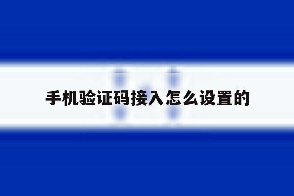 手机验证码接入怎么设置的 手机验证码接入怎么设置的