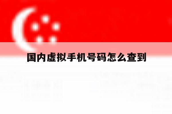国内虚拟手机号码怎么查到 国内虚拟手机号码怎么查到