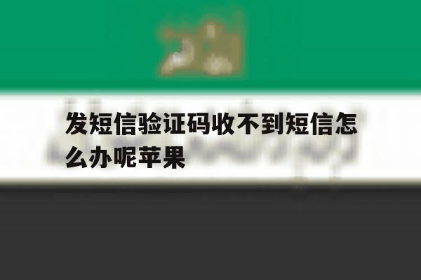 发短信验证码收不到短信怎么办呢苹果 发短信验证码收不到短信怎么办呢苹果