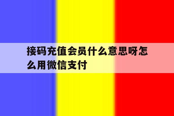 接码充值会员什么意思呀怎么用微信支付的简单介绍 接码充值会员什么意思呀怎么用微信支付的简单介绍