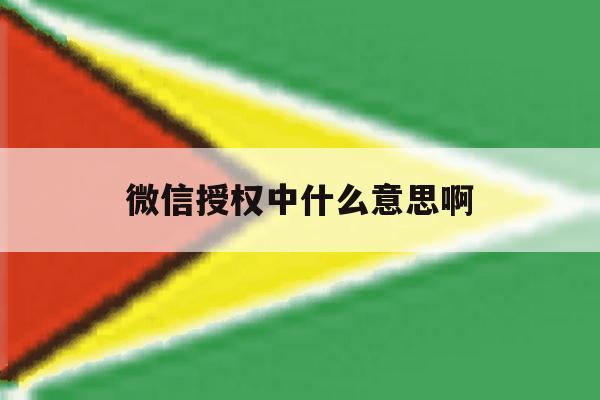 微信授权中什么意思啊 微信授权中什么意思啊