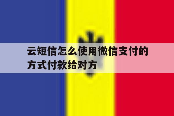 云短信怎么使用微信支付的方式付款给对方的简单介绍 云短信怎么使用微信支付的方式付款给对方的简单介绍