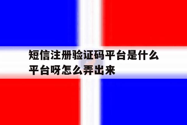 短信注册验证码平台是什么平台呀怎么弄出来 短信注册验证码平台是什么平台呀怎么弄出来