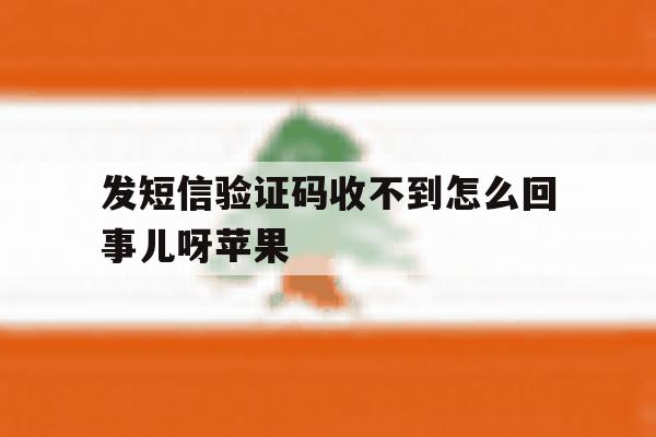 发短信验证码收不到怎么回事儿呀苹果 发短信验证码收不到怎么回事儿呀苹果