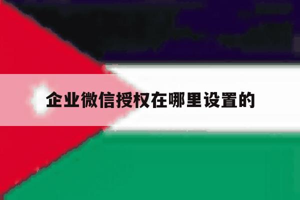 企业微信授权在哪里设置的 企业微信授权在哪里设置的