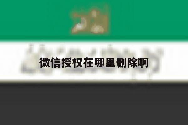 微信授权在哪里删除啊 微信授权在哪里删除啊