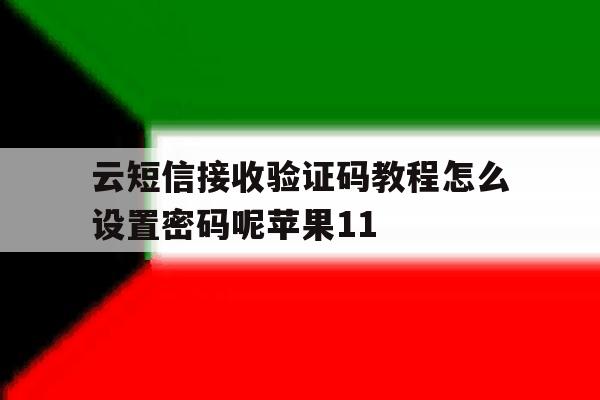 云短信接收验证码教程怎么设置密码呢苹果11的简单介绍 云短信接收验证码教程怎么设置密码呢苹果11的简单介绍