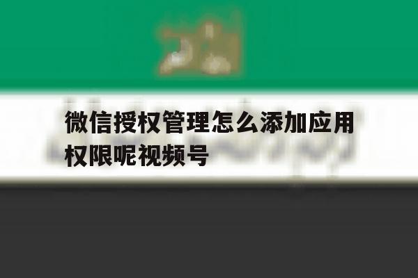 微信授权管理怎么添加应用权限呢视频号的简单介绍 微信授权管理怎么添加应用权限呢视频号的简单介绍