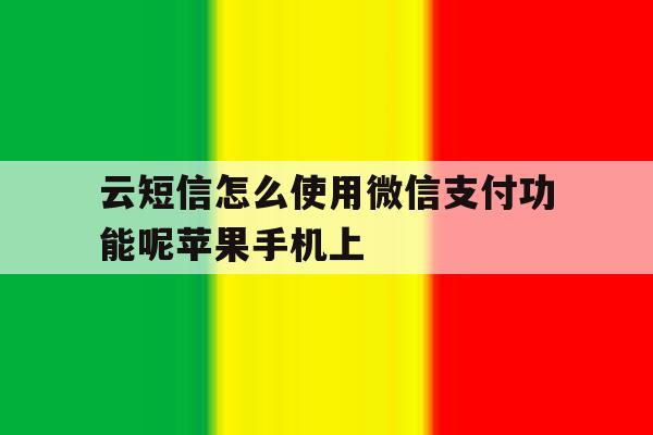 云短信怎么使用微信支付功能呢苹果手机上 云短信怎么使用微信支付功能呢苹果手机上