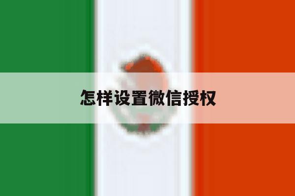 怎样设置微信授权 怎样设置微信授权