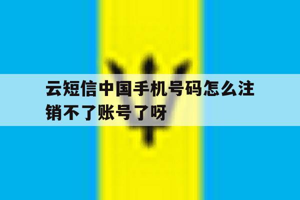 包含云短信中国手机号码怎么注销不了账号了呀的词条 包含云短信中国手机号码怎么注销不了账号了呀的词条