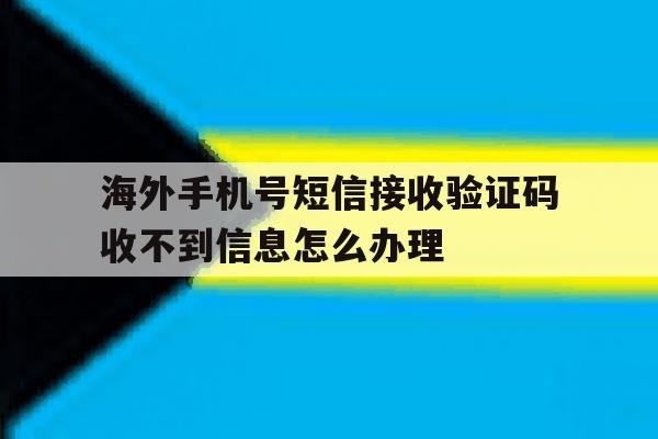 海外手机号短信接收验证码收不到信息怎么办理的简单介绍 海外手机号短信接收验证码收不到信息怎么办理的简单介绍