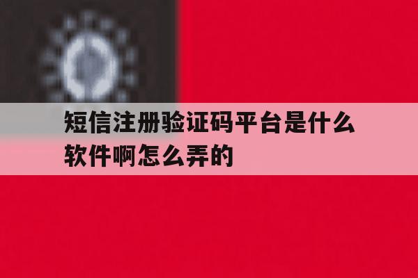 短信注册验证码平台是什么软件啊怎么弄的