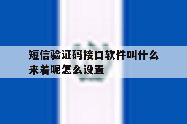 短信验证码接口软件叫什么来着呢怎么设置 短信验证码接口软件叫什么来着呢怎么设置