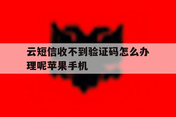 云短信收不到验证码怎么办理呢苹果手机的简单介绍 云短信收不到验证码怎么办理呢苹果手机的简单介绍