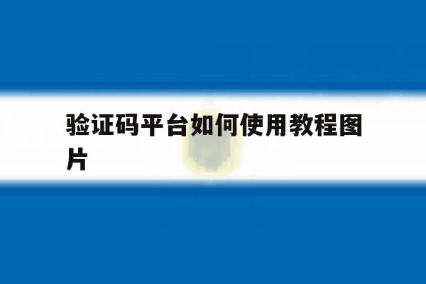验证码平台如何使用教程图片 验证码平台如何使用教程图片