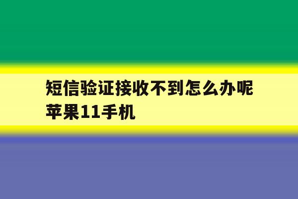 短信验证接收不到怎么办呢苹果11手机 短信验证接收不到怎么办呢苹果11手机