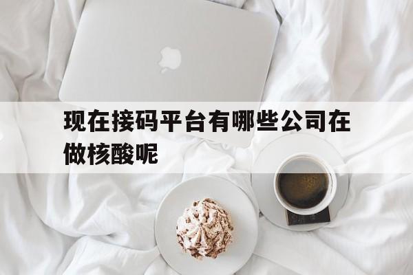 现在接码平台有哪些公司在做核酸呢 现在接码平台有哪些公司在做核酸呢