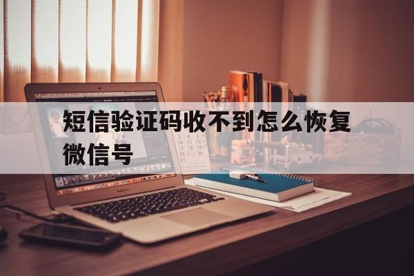 短信验证码收不到怎么恢复微信号 短信验证码收不到怎么恢复微信号
