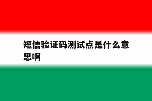 短信验证码测试点是什么意思啊 短信验证码测试点是什么意思啊