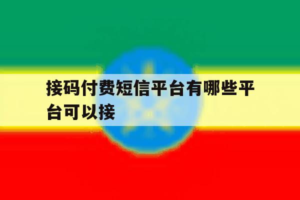 接码付费短信平台有哪些平台可以接 接码付费短信平台有哪些平台可以接
