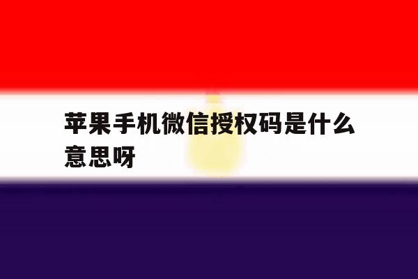 苹果手机微信授权码是什么意思呀 苹果手机微信授权码是什么意思呀