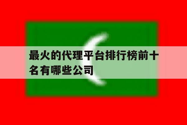 最火的代理平台排行榜前十名有哪些公司的简单介绍 最火的代理平台排行榜前十名有哪些公司的简单介绍