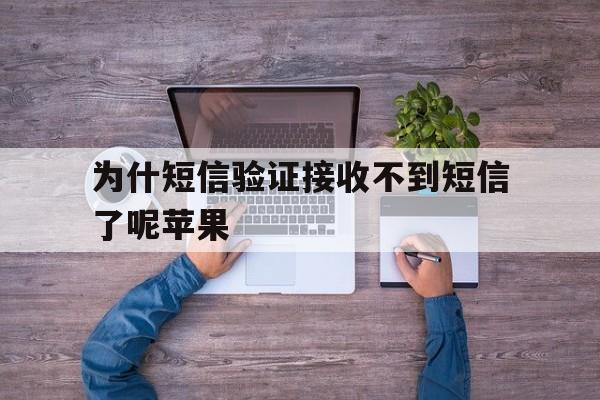 为什短信验证接收不到短信了呢苹果 为什短信验证接收不到短信了呢苹果