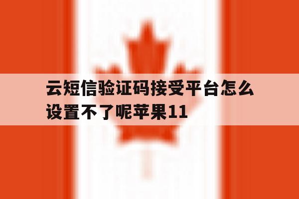 包含云短信验证码接受平台怎么设置不了呢苹果11的词条 包含云短信验证码接受平台怎么设置不了呢苹果11的词条