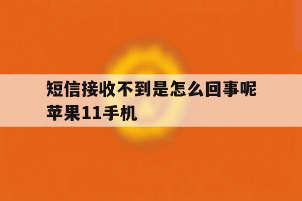 短信接收不到是怎么回事呢苹果11手机 短信接收不到是怎么回事呢苹果11手机