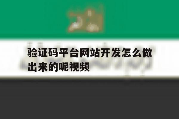 验证码平台网站开发怎么做出来的呢视频 验证码平台网站开发怎么做出来的呢视频