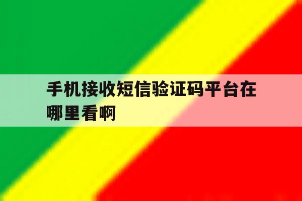 手机接收短信验证码平台在哪里看啊 手机接收短信验证码平台在哪里看啊