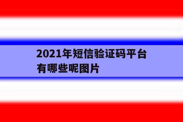 2021年短信验证码平台有哪些呢图片 2021年短信验证码平台有哪些呢图片