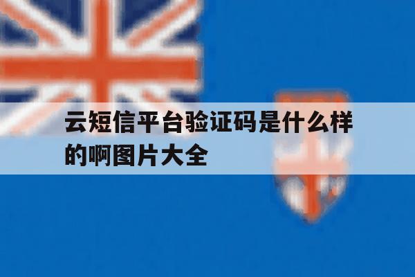 云短信平台验证码是什么样的啊图片大全 云短信平台验证码是什么样的啊图片大全