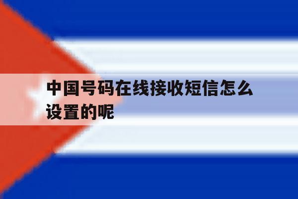 中国号码在线接收短信怎么设置的呢 中国号码在线接收短信怎么设置的呢