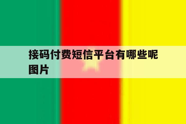 接码付费短信平台有哪些呢图片 接码付费短信平台有哪些呢图片